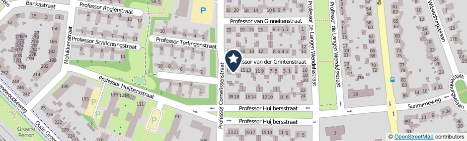 Kaartweergave Professor Van Der Grintenstraat 17 in Nijmegen
