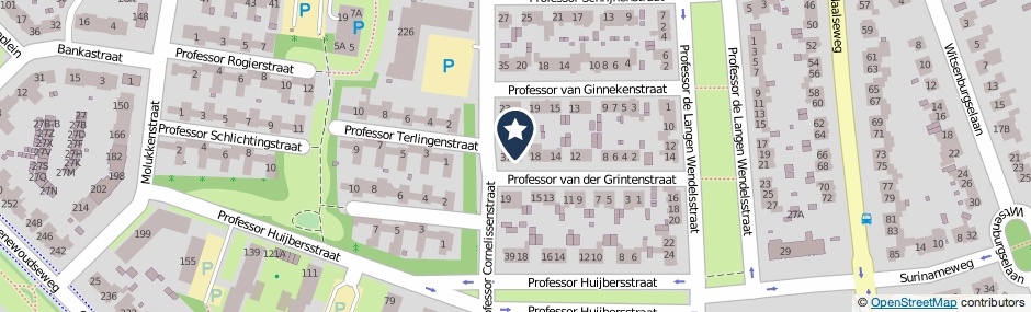 Kaartweergave Professor Van Der Grintenstraat 20 in Nijmegen