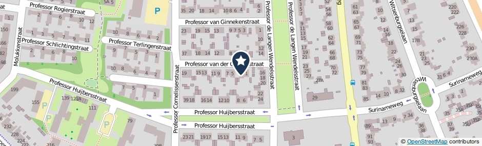 Kaartweergave Professor Van Der Grintenstraat 3 in Nijmegen