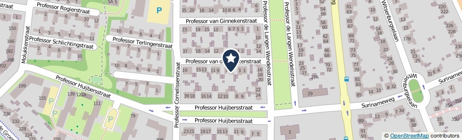 Kaartweergave Professor Van Der Grintenstraat 5 in Nijmegen