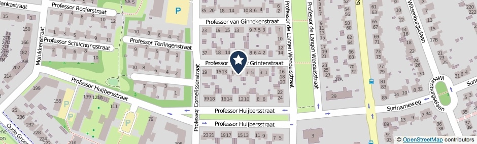 Kaartweergave Professor Van Der Grintenstraat 9 in Nijmegen