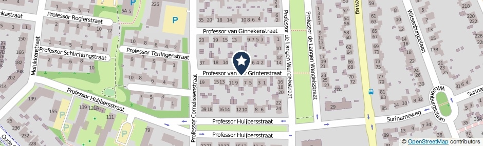 Kaartweergave Professor Van Der Grintenstraat in Nijmegen