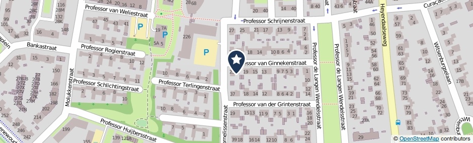 Kaartweergave Professor Van Ginnekenstraat 21 in Nijmegen