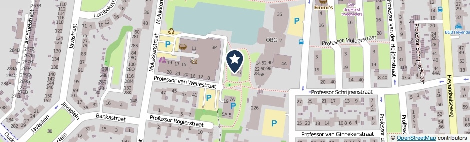 Kaartweergave Professor Van Weliestraat 4-R in Nijmegen