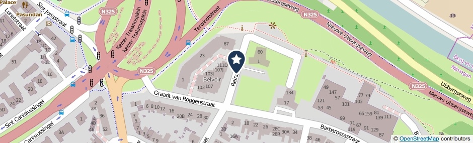 Kaartweergave Reinaldstraat in Nijmegen