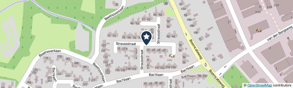 Kaartweergave Straussstraat in Nijverdal