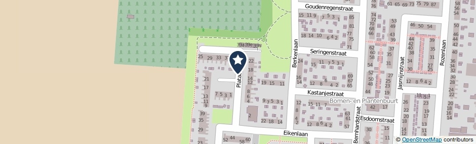 Kaartweergave Plataanstraat in Numansdorp