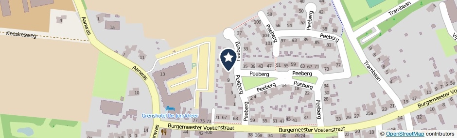 Kaartweergave Peeberg 13 in Ossendrecht