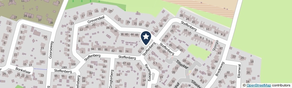 Kaartweergave Steffenberg 46 in Ottersum