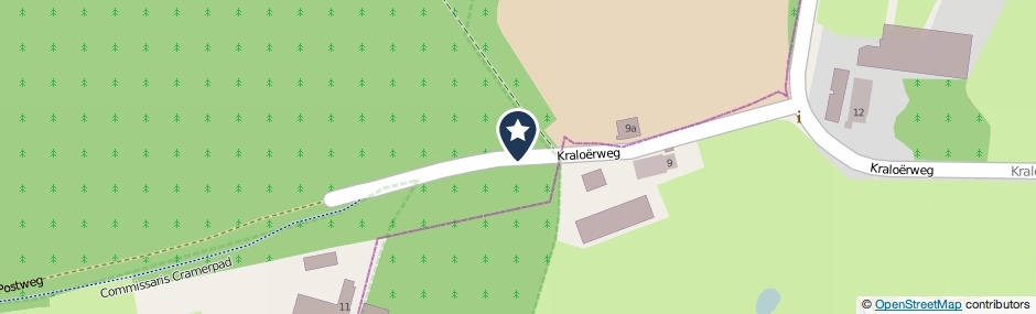 Kaartweergave Kraloerweg in Pesse
