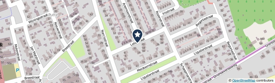 Kaartweergave Leliestraat in Putte