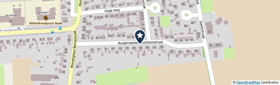 Kaartweergave Burgemeester Wientjensstraat in Reek