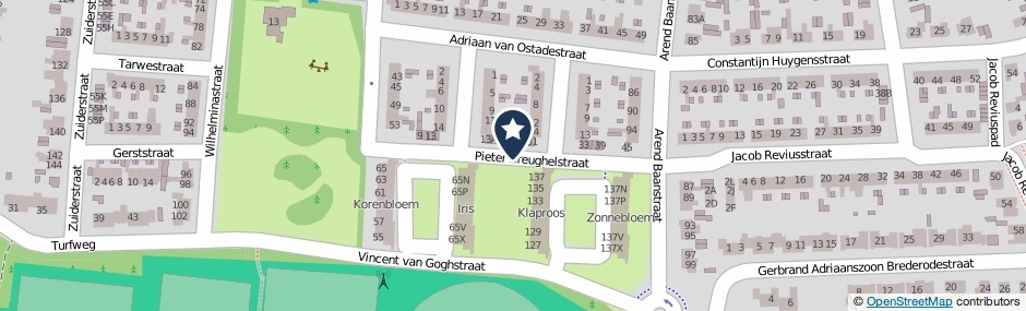 Kaartweergave Pieter Breughelstraat in Rijssen