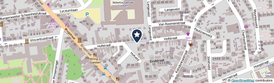 Kaartweergave Hofstraat in Roosendaal