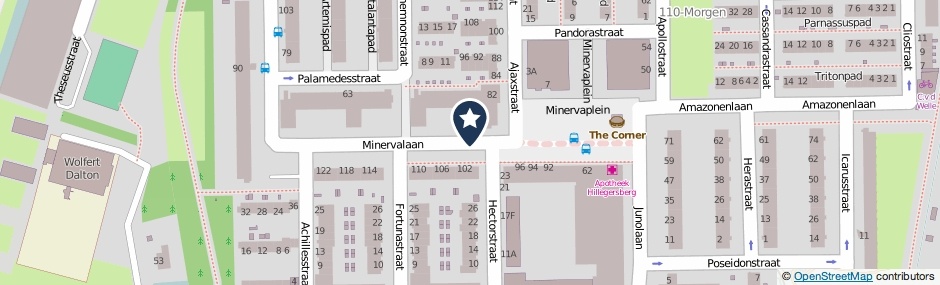 Kaartweergave Minervalaan in Rotterdam