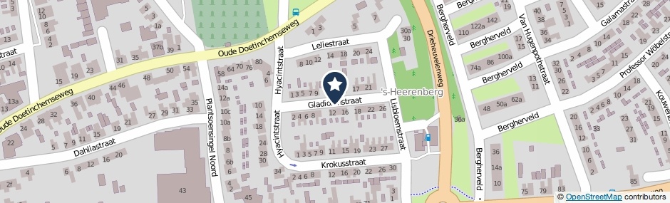 Kaartweergave Gladiolenstraat in S-Heerenberg