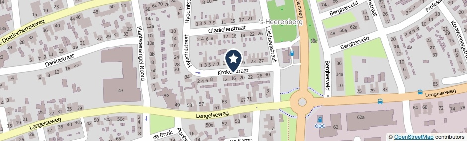 Kaartweergave Krokusstraat in S-Heerenberg