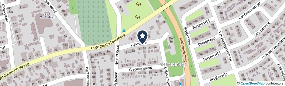 Kaartweergave Leliestraat in S-Heerenberg