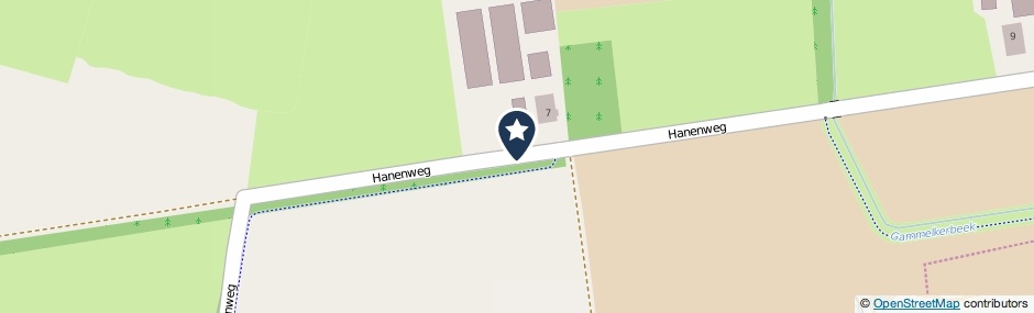 Kaartweergave Hanenweg in Saasveld