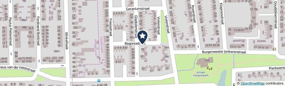 Kaartweergave Begoniastraat in Sappemeer