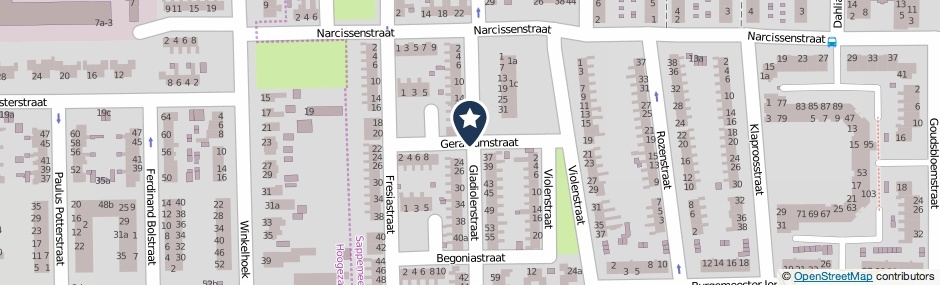 Kaartweergave Geraniumstraat in Sappemeer