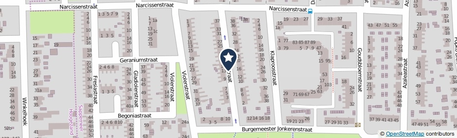 Kaartweergave Rozenstraat in Sappemeer