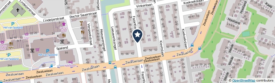Kaartweergave Fazantlaan in Schiedam