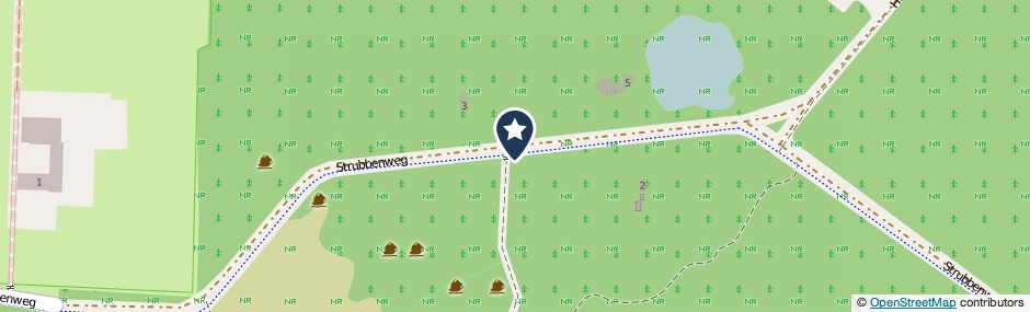 Kaartweergave Strubbenweg in Schipborg