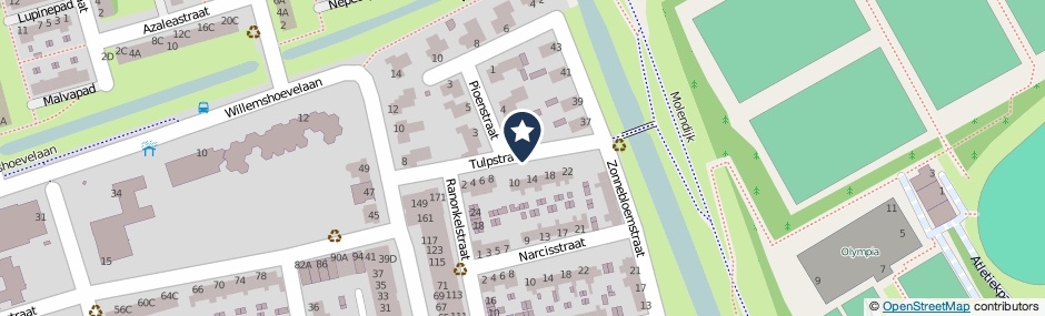 Kaartweergave Tulpstraat in Spijkenisse