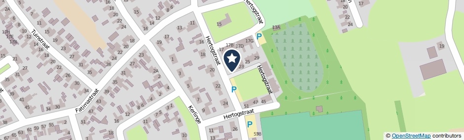 Kaartweergave Hertogstraat 19 in Sprundel