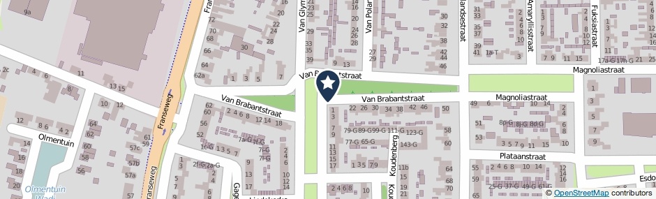Kaartweergave Van Brabantstraat in Steenbergen (Noord-Brabant)