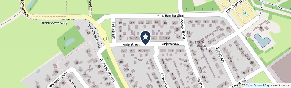 Kaartweergave Anjerstraat in Steenderen