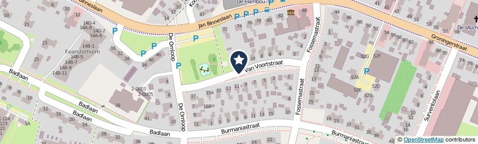 Kaartweergave Van Voortstraat in Surhuisterveen