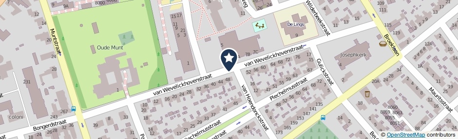 Kaartweergave Van Wevelickhovenstraat in Tegelen