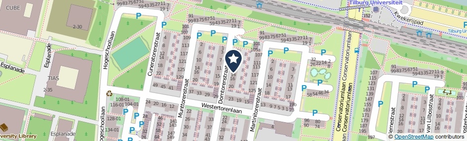 Kaartweergave Domtorenstraat 12 in Tilburg