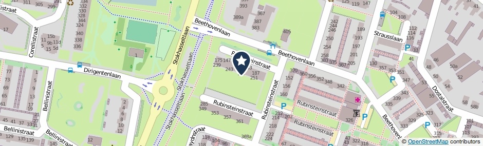 Kaartweergave Rubinsteinstraat 247 in Tilburg