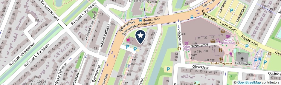 Kaartweergave Eykmanlaan 433 in Utrecht