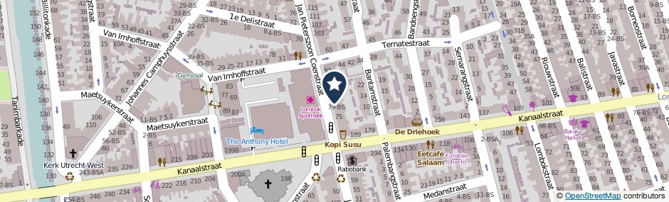Kaartweergave Jan Pieterszoon Coenstraat 81-BS in Utrecht