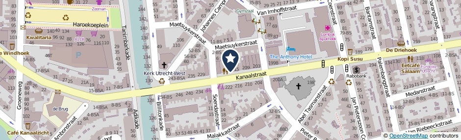 Kaartweergave Kanaalstraat 217-BS in Utrecht