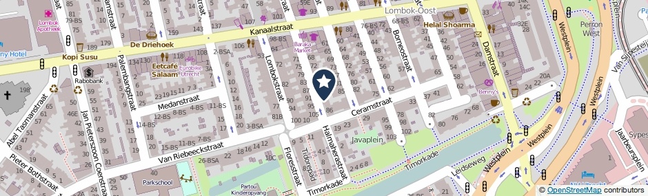 Kaartweergave Riouwstraat 84 in Utrecht