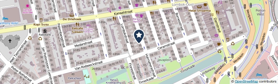 Kaartweergave Riouwstraat 91 in Utrecht