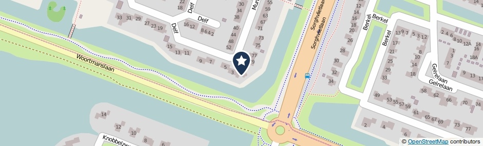Kaartweergave Delf 1 in Veendam
