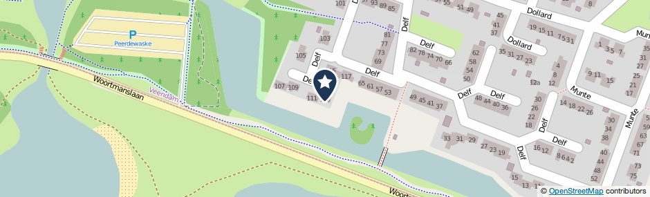Kaartweergave Delf 113 in Veendam