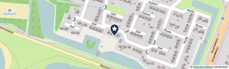 Kaartweergave Delf 41 in Veendam