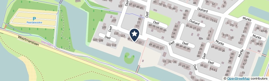 Kaartweergave Delf 59 in Veendam