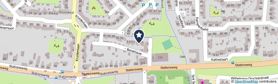 Kaartweergave Anjer 11 in Venray