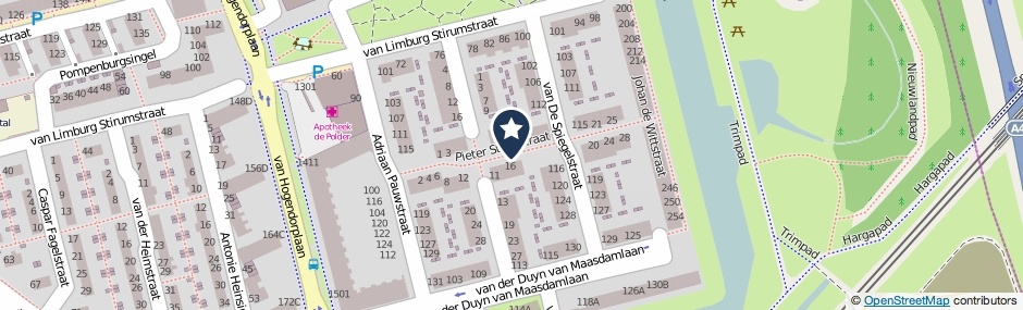 Kaartweergave Pieter Steynstraat in Vlaardingen