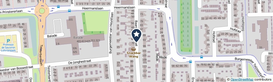 Kaartweergave Baardwijksestraat in Waalwijk