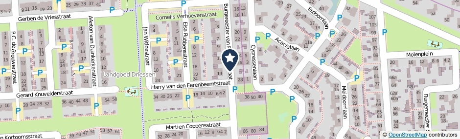 Kaartweergave Burgemeester Van Prooijenstraat in Waalwijk