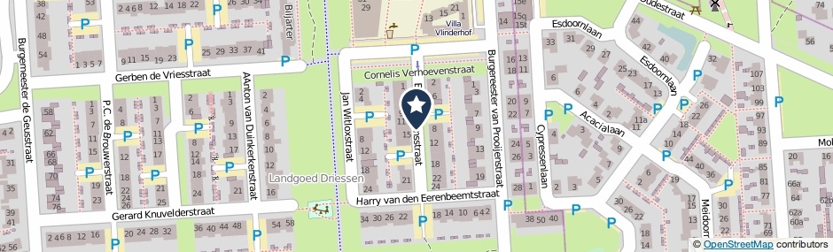 Kaartweergave Elsa Rubbensstraat in Waalwijk